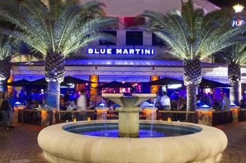 blue-martini