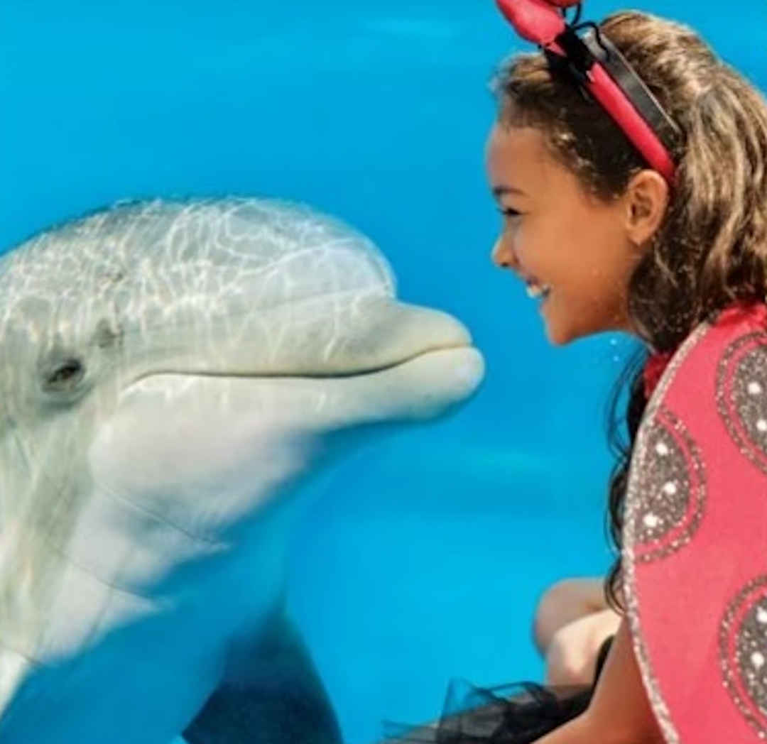 girl meets friendly dolphin